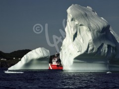 Twillingate, iceberg and coast guard ship